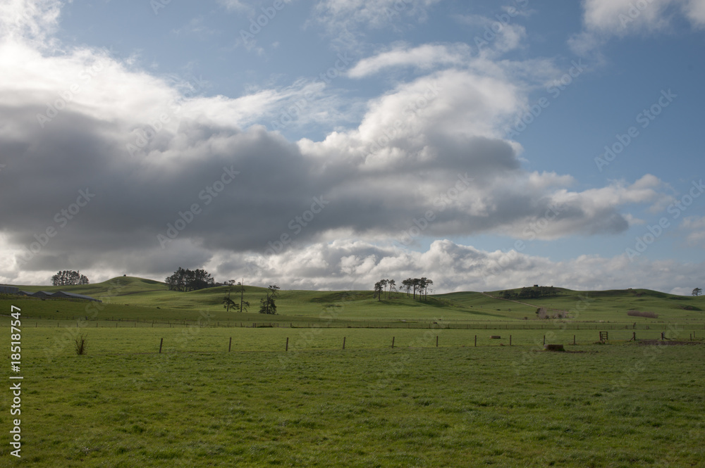 Farm in New Zealand