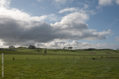 Farm in New Zealand
