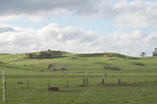 Farm in New Zealand
