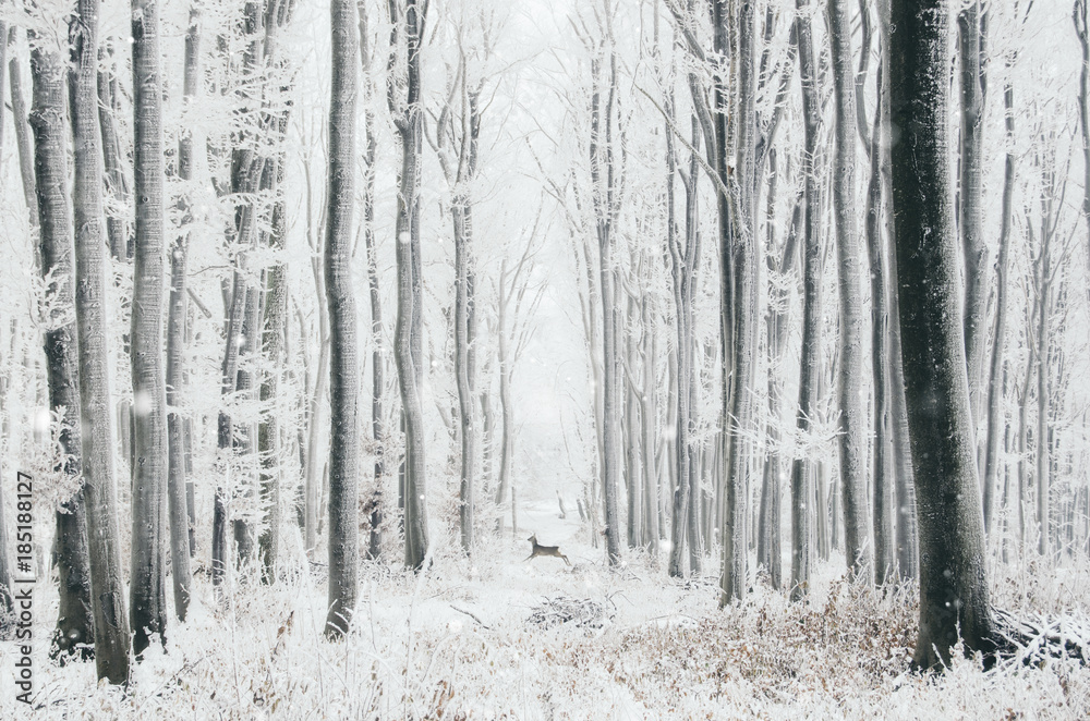 Fairy tale winter forest with deer Fairy tale winter forest with deer