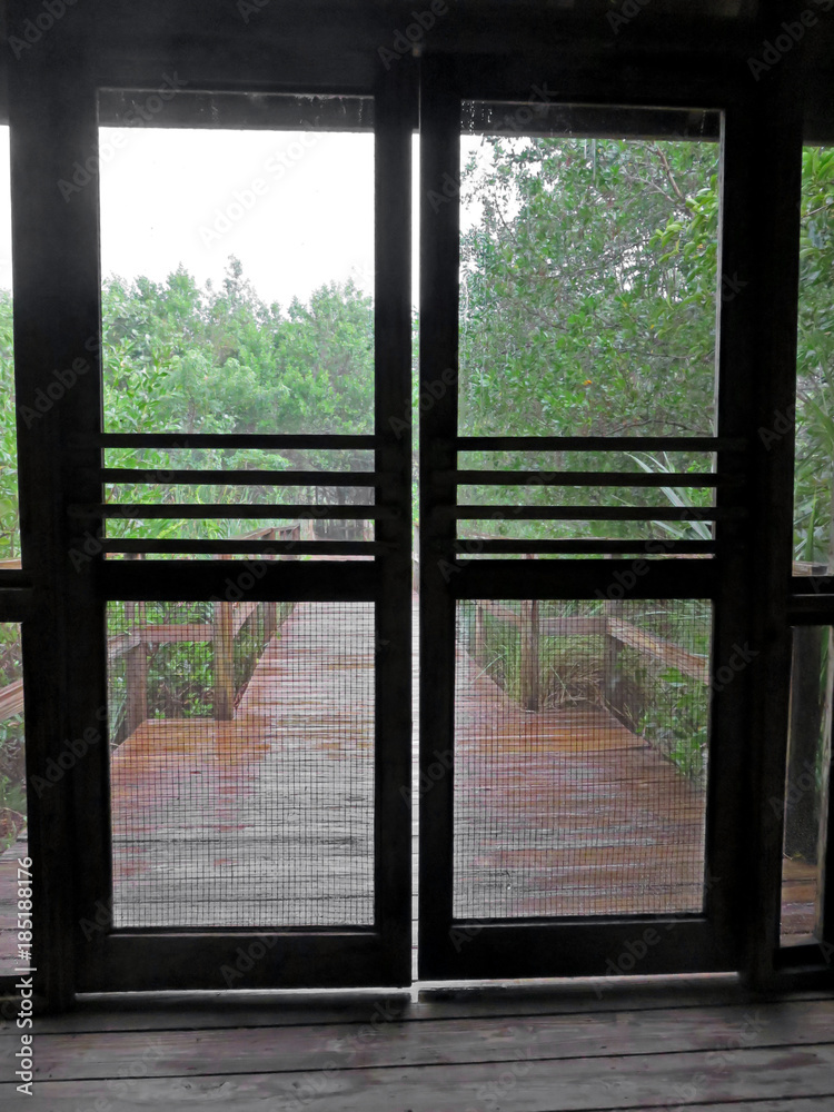 Fototapeta premium Rainy Wooden Boardwalk Through Screen Door Sanibel Captiva Conservation Foundation