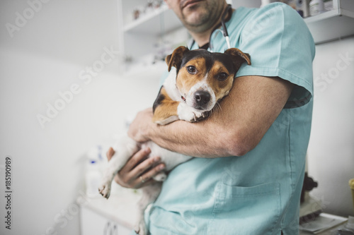 Veterinarian Holding A Dog