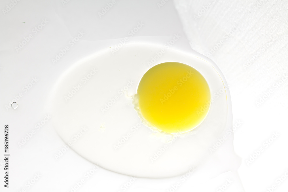 sprouting egg, yolk and protein on a white background sprouting egg, yolk and protein on a white background
