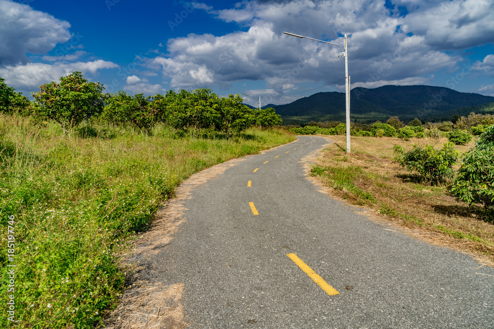 Asphalt country road Asphalt country road