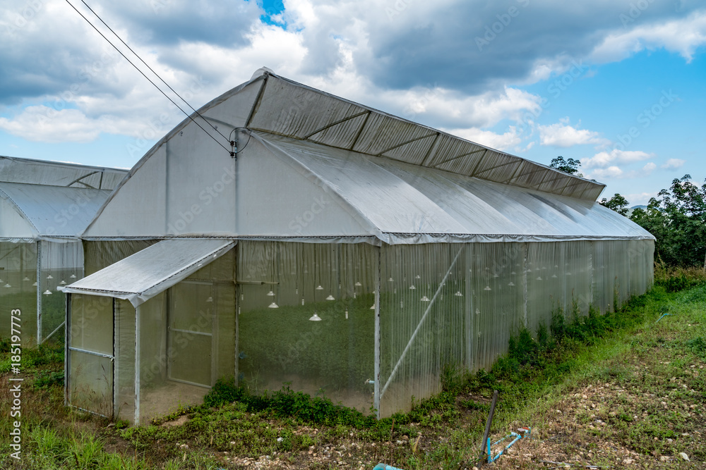 Row of Greenhouse