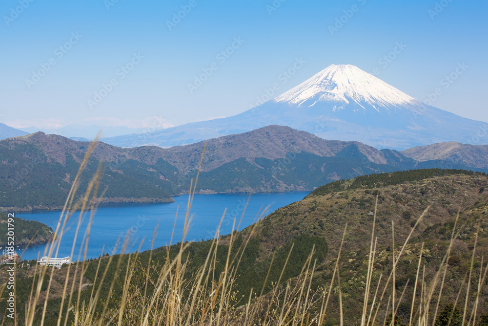 Fototapeta premium Beautiful Lake ashi and mt. Fuji in autumn season