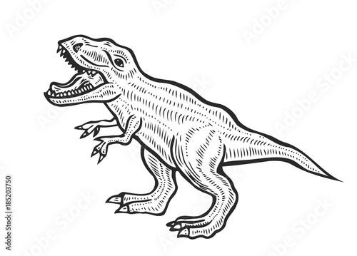 carnivorous dinosaur illustration