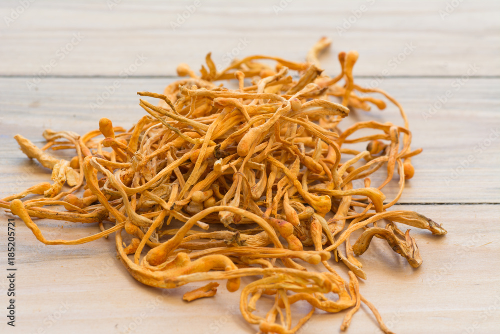 Dried cordyceps militaris on wooden background. chong cao, dong chong cao