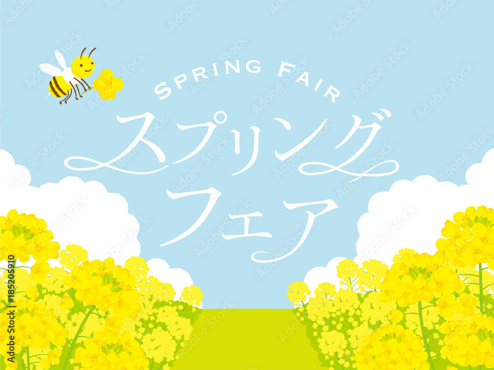 Naklejka premium 菜の花畑 背景イラスト