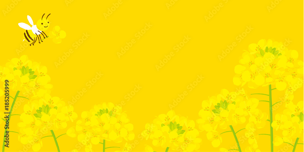 ミツバチと菜の花　背景イラスト