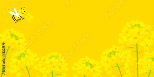 ミツバチと菜の花　背景イラスト