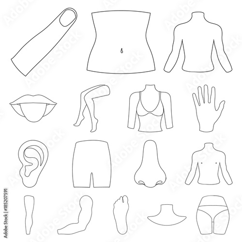 Part of the body, limb outline icons in set collection for design. Human anatomy vector symbol stock web illustration.