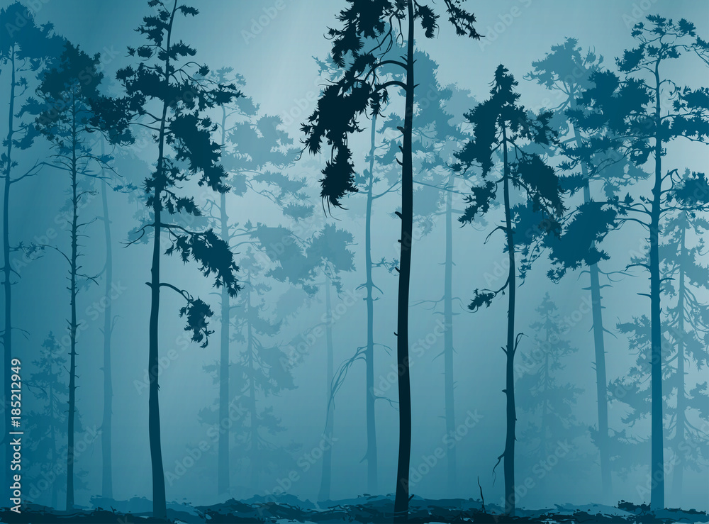 Fototapeta premium natural background with a silhouette of a pine forest, vector illustration