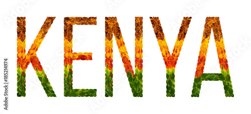 word kenya country is written with leaves on a white insulated background, a banner for printing, a creative developing country colored leaves kenya photo