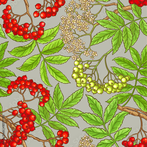 rowan vector pattern