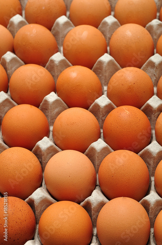Eggs displayed in a container © Marietjie Opperman