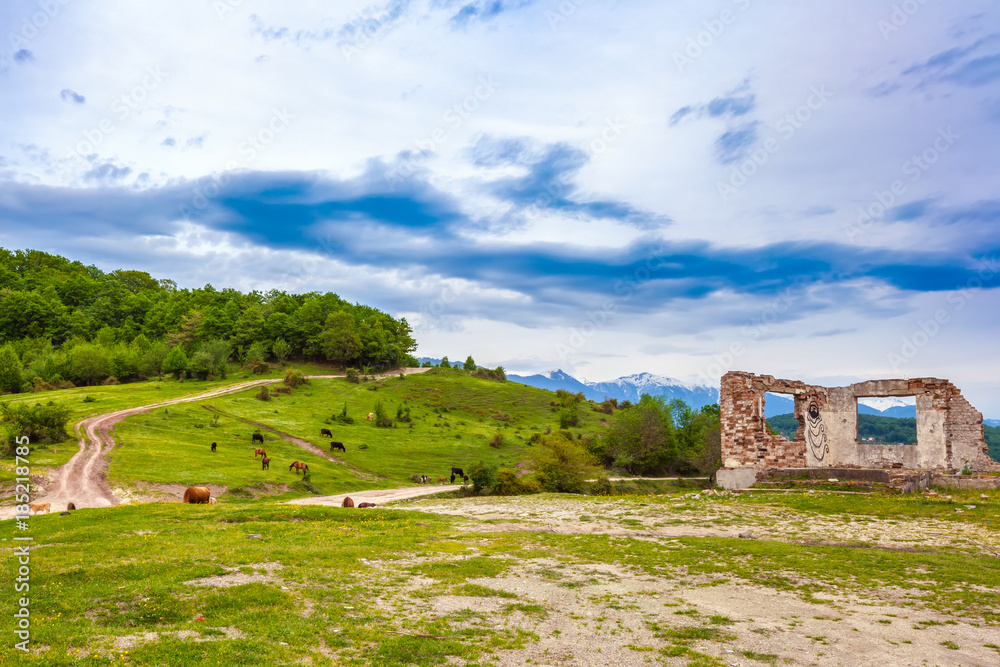 The destroyed brick wall of an old house with scattered stones around against the background of a spring rural valley with grazing cows and horses. Rural evening spring landscape in Sochi, Russia.