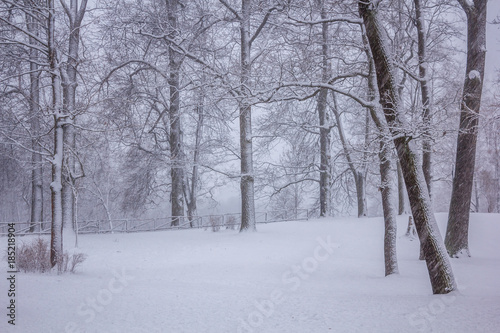 Парк во время снегопада, снежный парк 