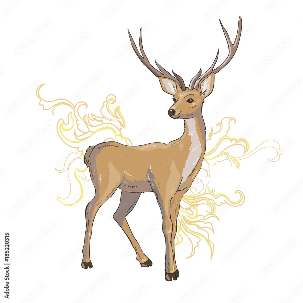 Obraz premium A set of deer for your design. Deer, sika deer and reindeer. Vector illustration, isolation objects.