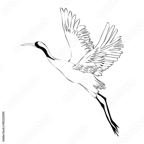 Vector watercolor set of illustrations bird crane. White stork . isolated object