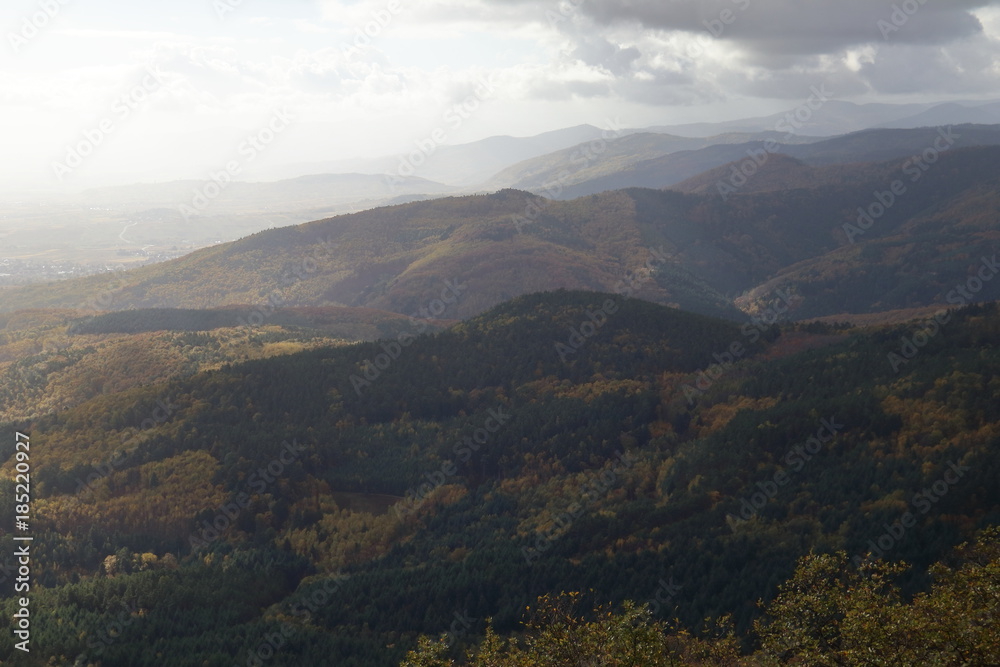 Vista sull'Alsazia in autunno