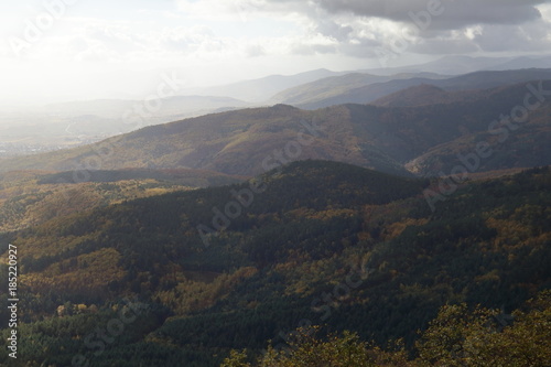 Vista sull'Alsazia in autunno