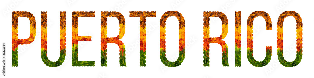 word puerto rico country is written with leaves on a white insulated background, a banner for printing, a creative developing country colored leaves puerto rico