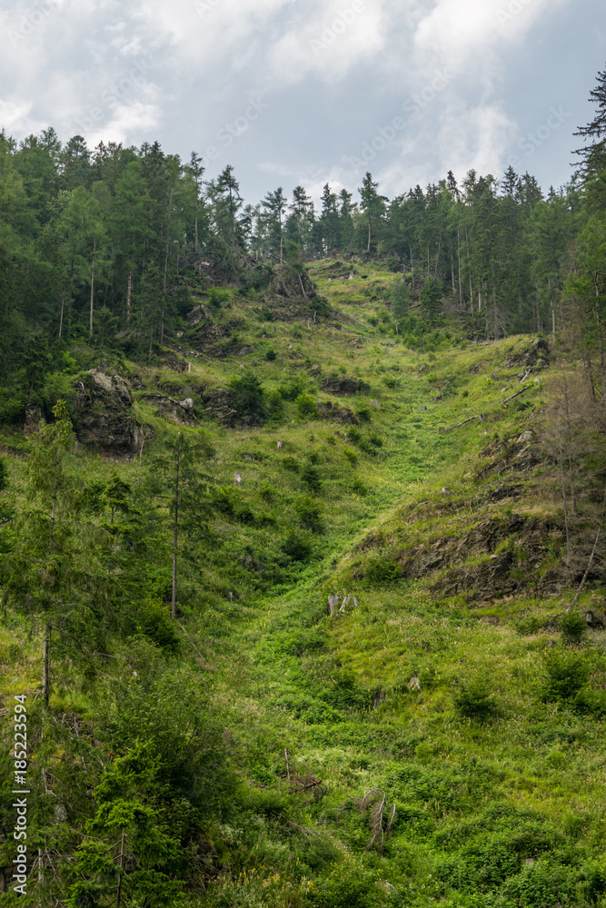 Fototapeta premium Hill with path