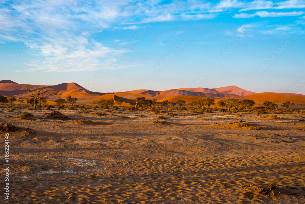 Sand dunes in the Namib desert at dawn, roadtrip in the wonderful Namib Naukluft National Park, travel destination in Namibia, Africa.