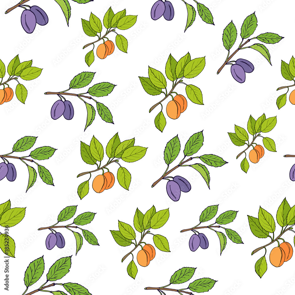 Obraz premium Plum and apricot seamless pattern