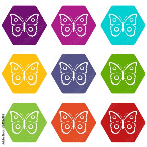 Butterfly peacock eye icon set color hexahedron photo