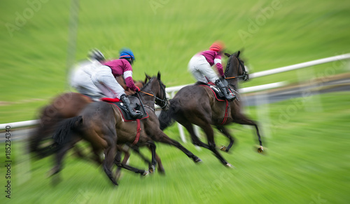 Race horse motion blur  © Gabriel Cassan