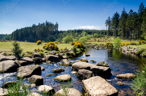 Bellever Forest And Dart River on Dartmoor National Park in Devon, England photo