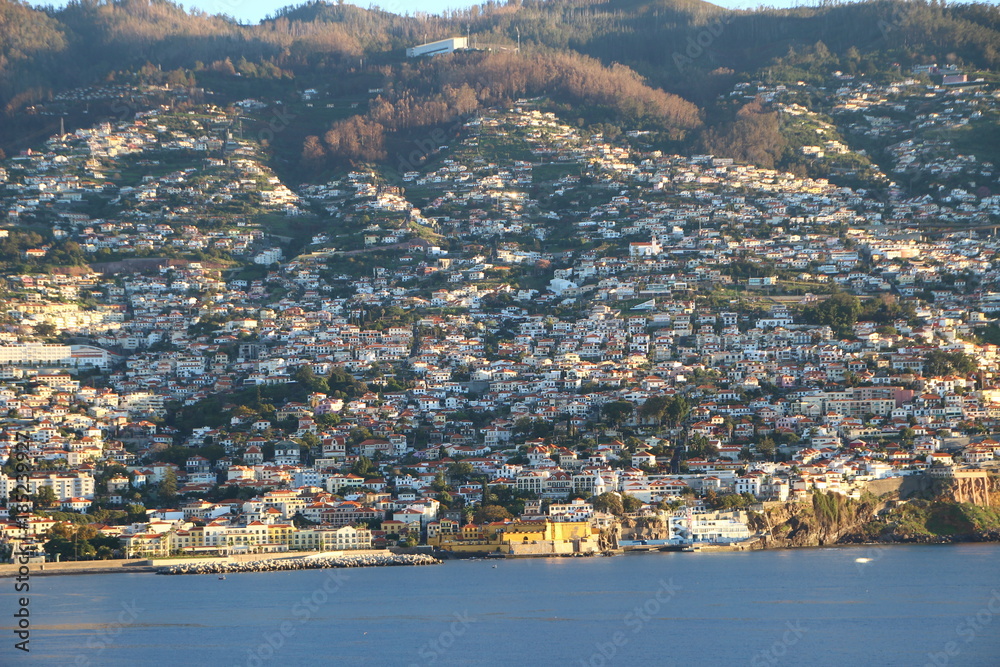 Fototapeta premium Funchal