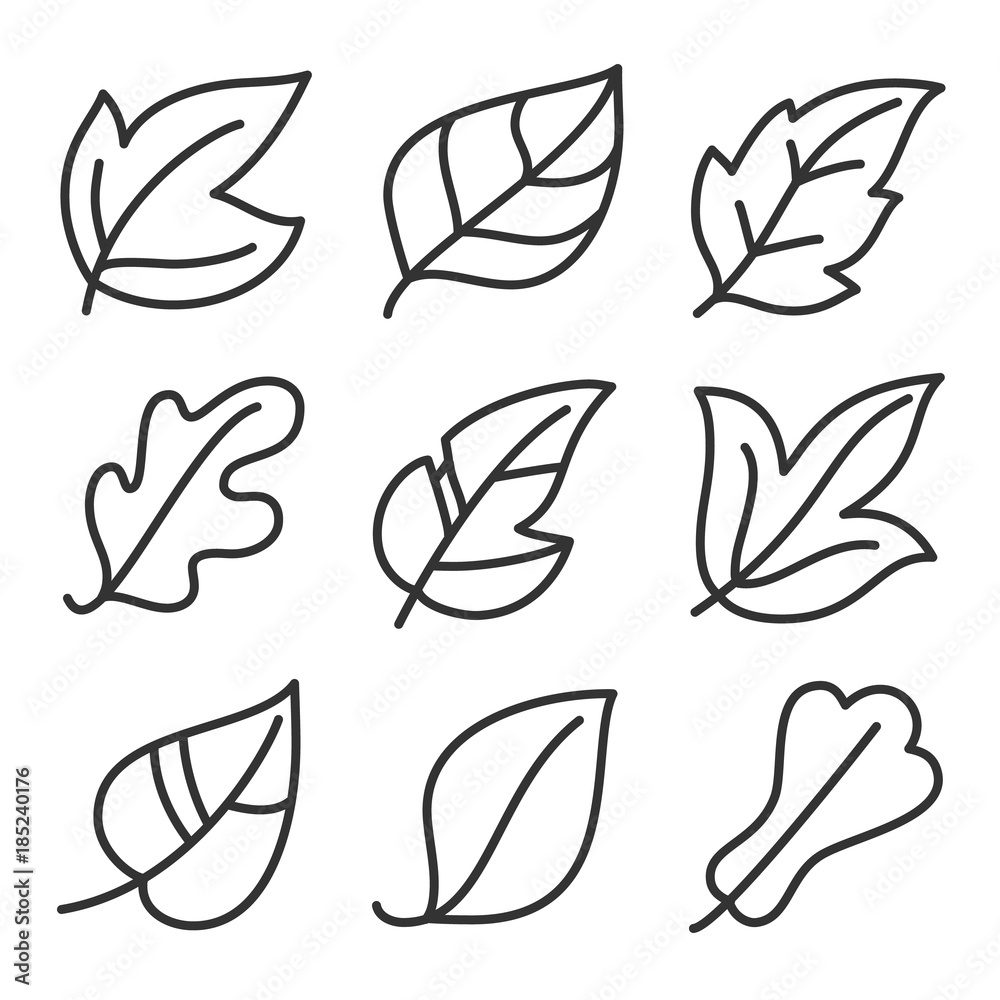 Leaves icon set. Collection of leaf logo design for green, eco, organic, food, beauty, health care and beauty. vector illustration . Leaves icon set. Collection of leaf logo design for green, eco, organic, food, beauty, health care and beauty. vector illustration .