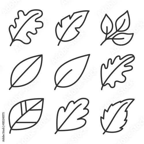 Leaves icon set. Collection of leaf logo design for green, eco, organic, food, beauty, health care and beauty. vector illustration .