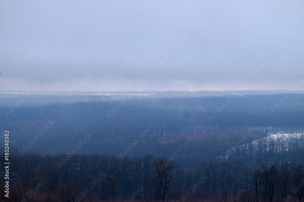 Fototapeta premium winter forest and hills from above in Hungary - rusty foliage