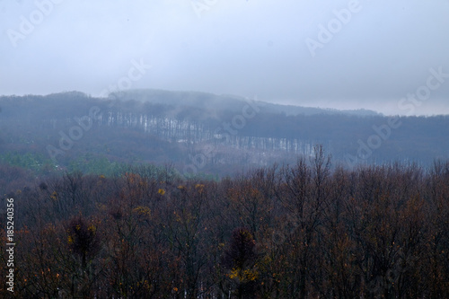 winter forest and hills from above in Hungary - rusty foliage
