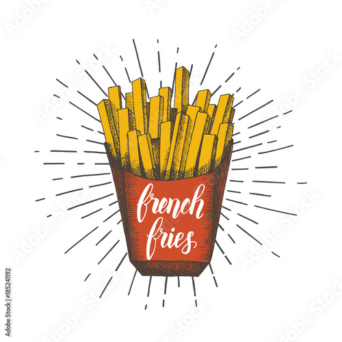 Hand drawn french fries isolated on white. Trendy element for fast food menu. Hand made lettring. Vector object. Sketch, engraving