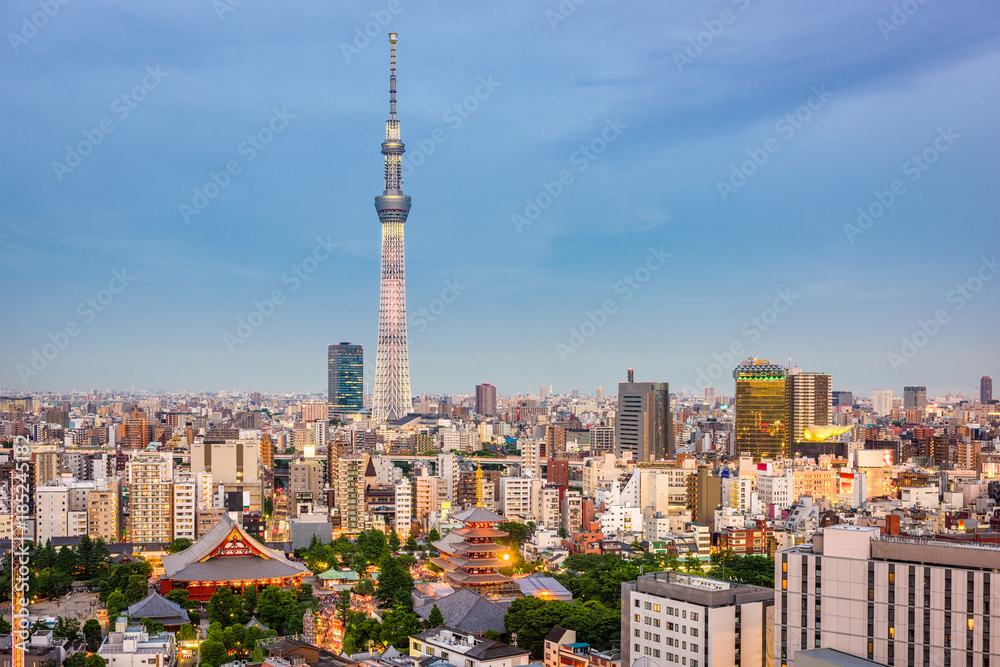 Fototapeta premium Tokio, Japonia Skyline