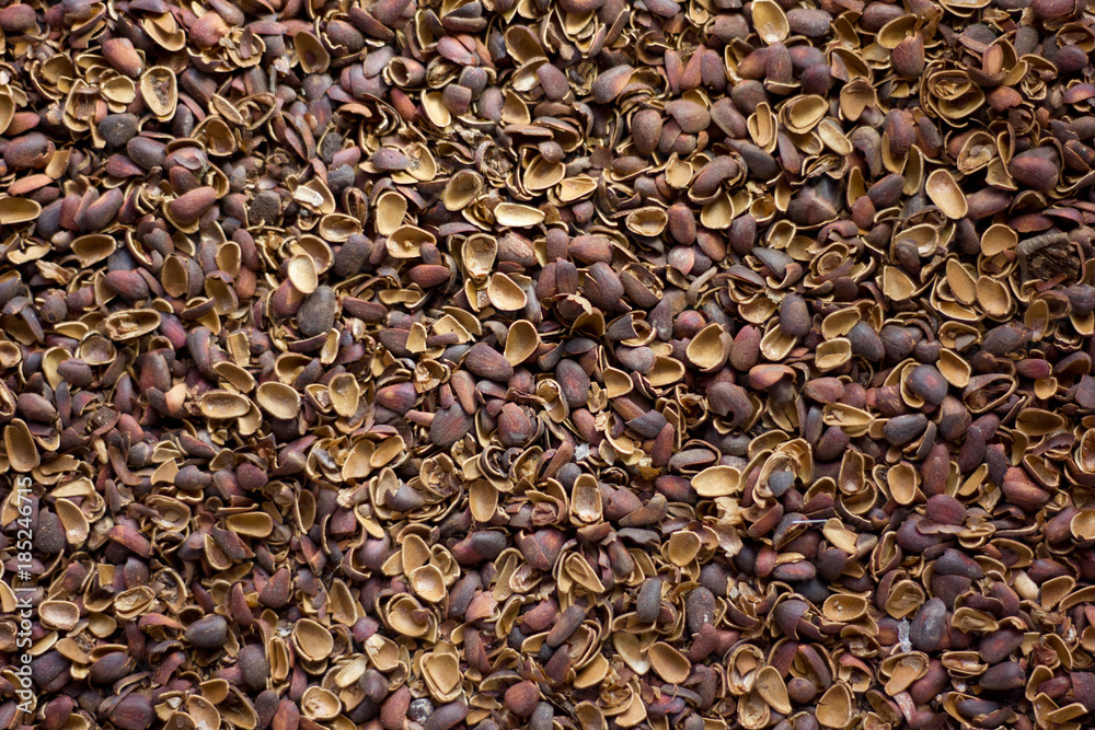 Broken pine nut shelters as background. Broken pine nut shelters as background.