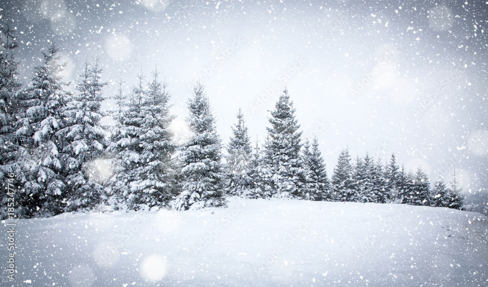 christmas background of snowy winter landscape