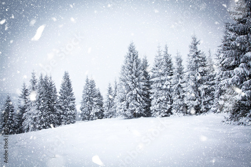 christmas background of snowy winter landscape