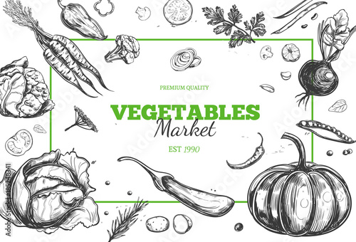 Vegetable frame. Vector hand drawn illustration. Sketch style