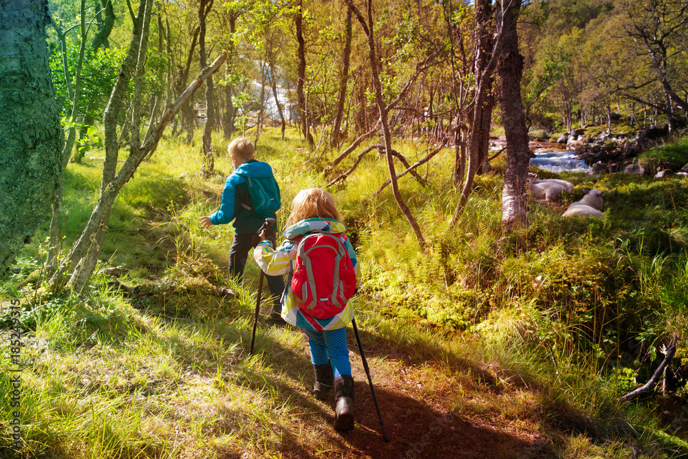 little boy and girl hiking in nature, Norway travel