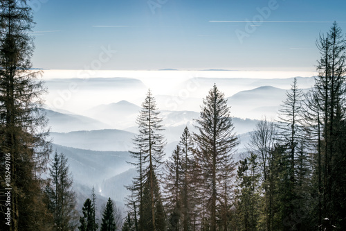 Fototapeta Naklejka Na Ścianę i Meble -  Mystery mountains in the winter just tops of trees
