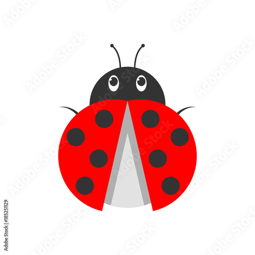 Ladybug icon. Vector illustration.