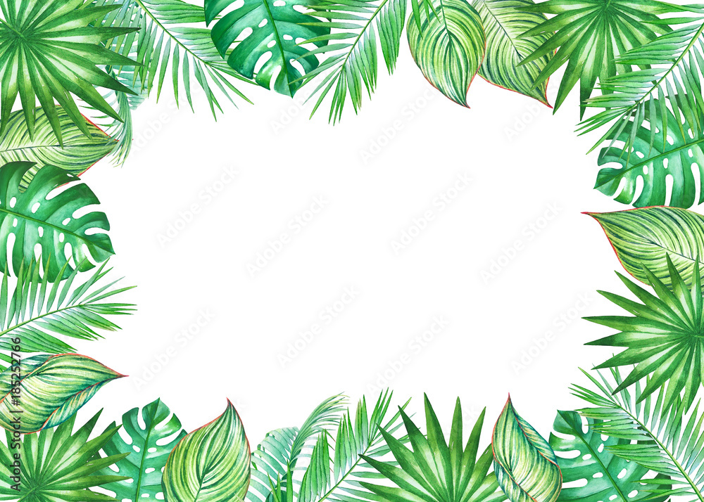 Watercolor frame with leaves of coconut palm tree isolated on white background. Illustration for design of wedding invitations, greeting cards with empty space for text.