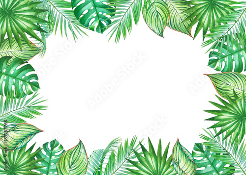 Watercolor frame with leaves of coconut palm tree isolated on white background. Illustration for design of wedding invitations  greeting cards with empty space for text.