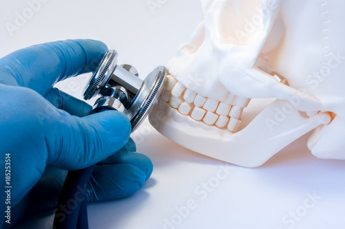 Diagnosis and detection of diseases of teeth in dentistry,disease of bones of face, upper and lower jaws, oral and maxillofacial surgery concept photo. Doctor hold in hand stethoscope on skull teeth photo